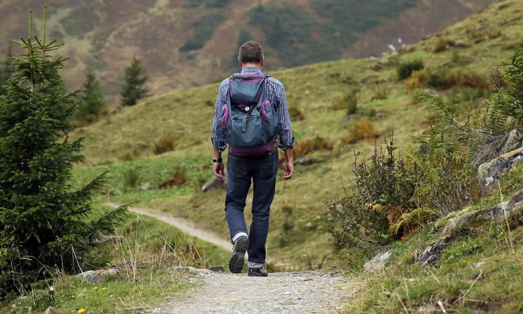 wanderer-backpack-hike-away-48137-48137 wanderer-backpack-hike-away-48137-48137.jpg